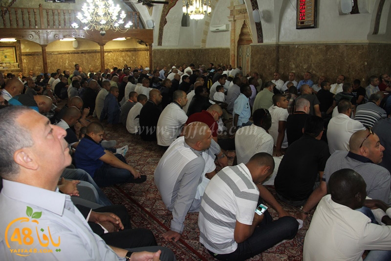 3ed ad7a mahmoudaia (16).JPG